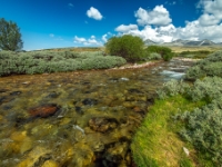 Rondane Nasjonalpark